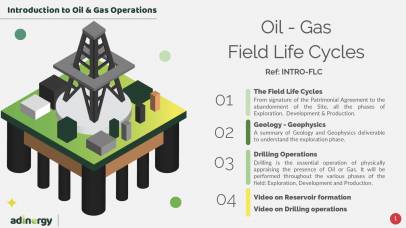 Field Life Cycles: Introduction to O&G Projects and Operations.