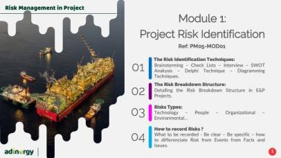 Project Risk Identification