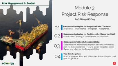 Project Risk Response